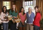 Foto: Teri Hatcher, Marcia Cross, Eva Longoria & Felicity Huffman, Desperate Housewives - Copyright: 2008 American Broadcasting Companies, Inc. All rights reserved.