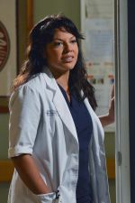 Foto: Sara Ramirez, Grey's Anatomy - Copyright: 2014 ABC Studios; ABC/Eric McCandless