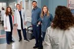 Foto: Grey's Anatomy - Copyright: 2019 ABC Studios; ABC/Mitch Haaseth