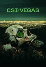 Foto: CSI: Vegas - Copyright: RTL / 2021 CBS Broadcasting, Inc. All Rights Reserved