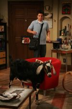 Foto: Josh Radnor, How I Met Your Mother - Copyright: 2008 CBS Broadcasting Inc. All Rights Reserved; Monty Brinton/CBS